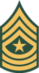 Army-USA-OR-09c-2015.svg