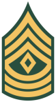 xfirst-sergeant.png.pagespeed.ic.vrxLsEoPG8